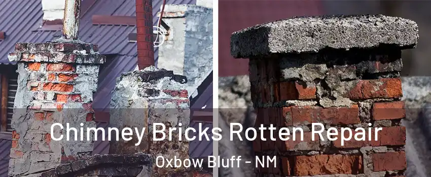 Chimney Bricks Rotten Repair Oxbow Bluff - NM