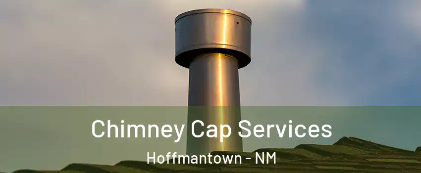 Chimney Cap Services Hoffmantown - NM