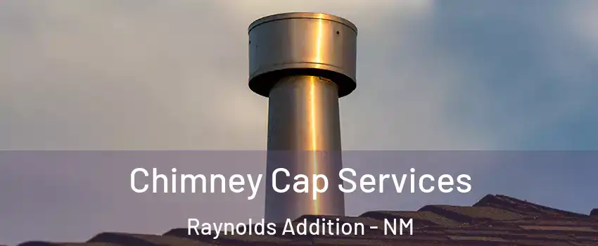 Chimney Cap Services Raynolds Addition - NM