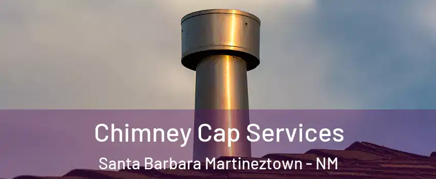 Chimney Cap Services Santa Barbara Martineztown - NM