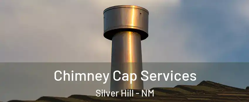 Chimney Cap Services Silver Hill - NM