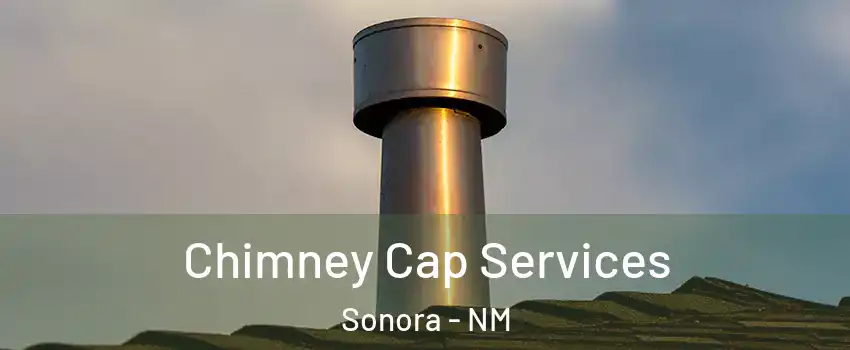 Chimney Cap Services Sonora - NM