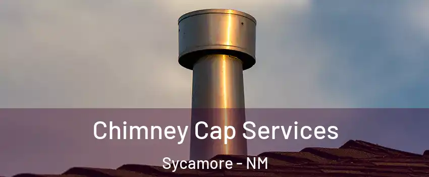 Chimney Cap Services Sycamore - NM