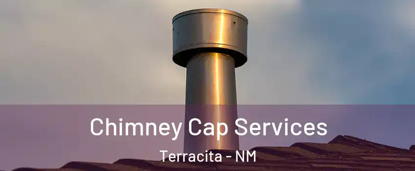 Chimney Cap Services Terracita - NM