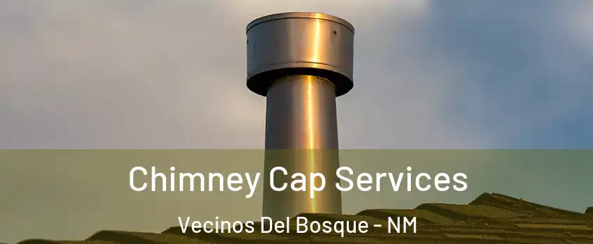 Chimney Cap Services Vecinos Del Bosque - NM