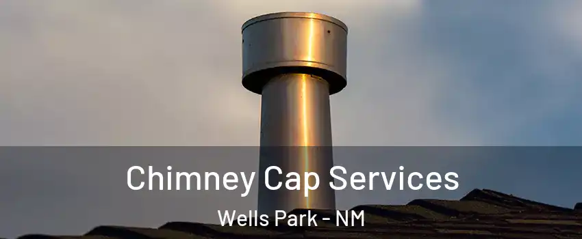 Chimney Cap Services Wells Park - NM