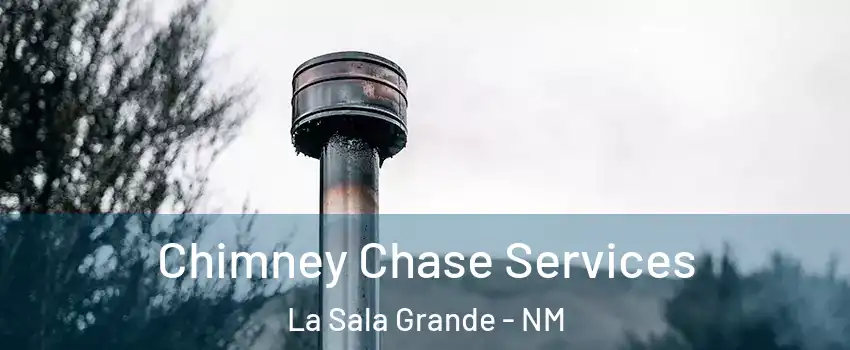 Chimney Chase Services La Sala Grande - NM