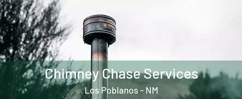 Chimney Chase Services Los Poblanos - NM