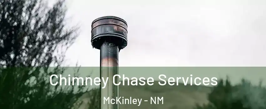 Chimney Chase Services McKinley - NM