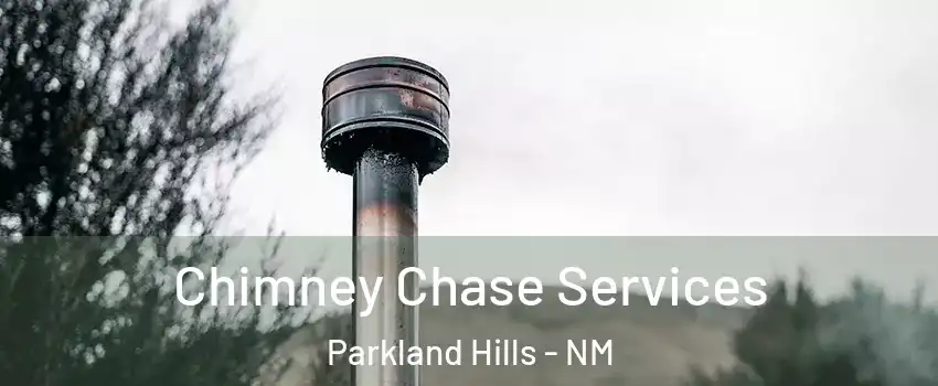 Chimney Chase Services Parkland Hills - NM