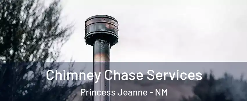 Chimney Chase Services Princess Jeanne - NM