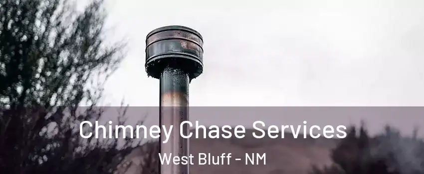 Chimney Chase Services West Bluff - NM