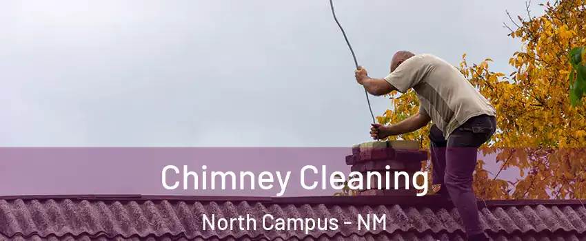 Chimney Cleaning North Campus - NM