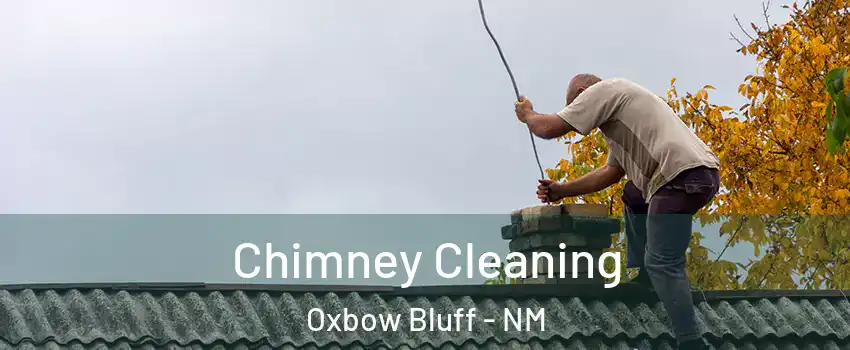 Chimney Cleaning Oxbow Bluff - NM