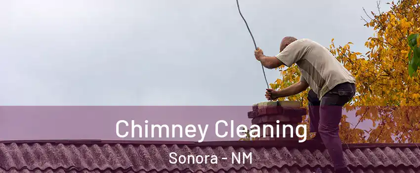 Chimney Cleaning Sonora - NM