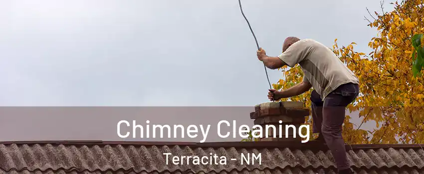 Chimney Cleaning Terracita - NM