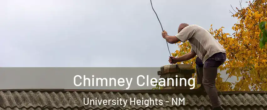 Chimney Cleaning University Heights - NM