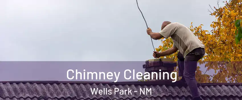 Chimney Cleaning Wells Park - NM