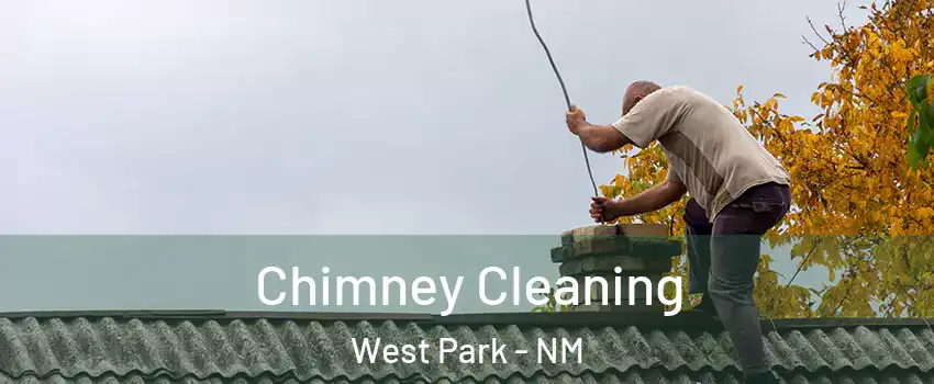 Chimney Cleaning West Park - NM