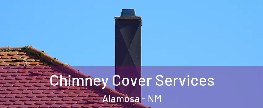 Chimney Cover Services Alamosa - NM