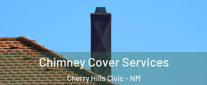 Chimney Cover Services Cherry Hills Civic - NM