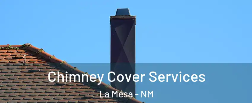 Chimney Cover Services La Mesa - NM