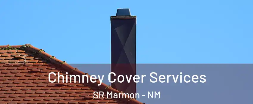 Chimney Cover Services SR Marmon - NM