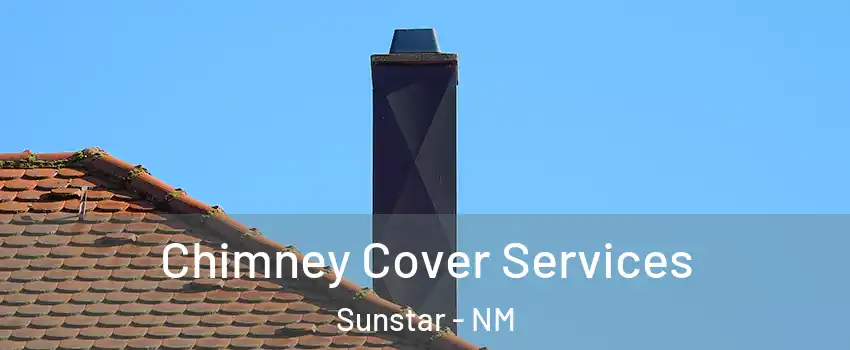 Chimney Cover Services Sunstar - NM