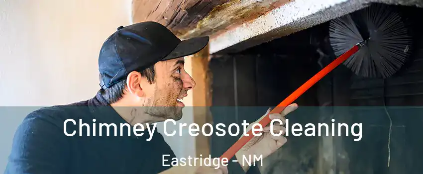 Chimney Creosote Cleaning Eastridge - NM