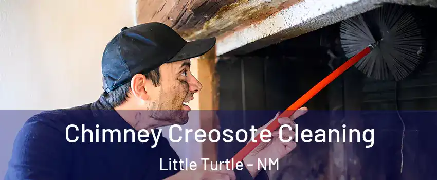 Chimney Creosote Cleaning Little Turtle - NM