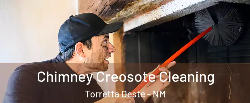 Chimney Creosote Cleaning Torretta Oeste - NM