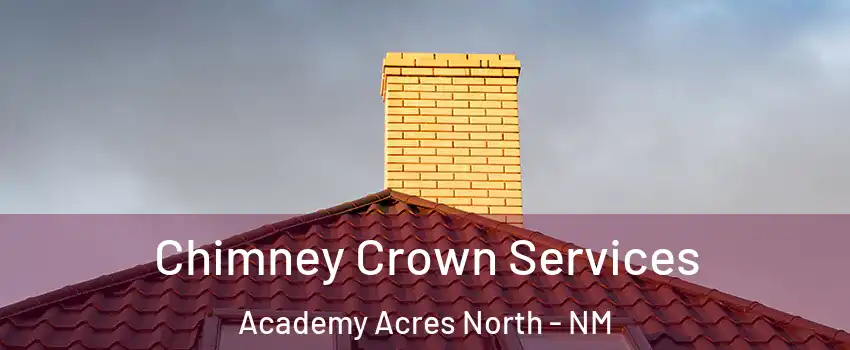 Chimney Crown Services Academy Acres North - NM