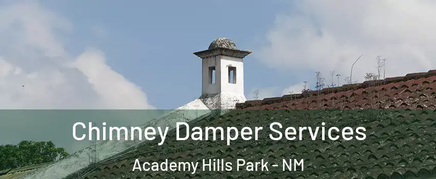 Chimney Damper Services Academy Hills Park - NM