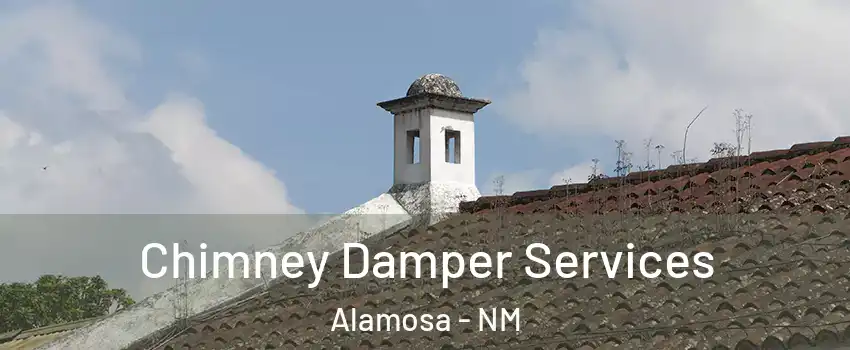 Chimney Damper Services Alamosa - NM