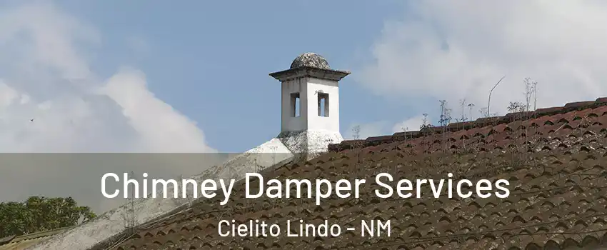 Chimney Damper Services Cielito Lindo - NM