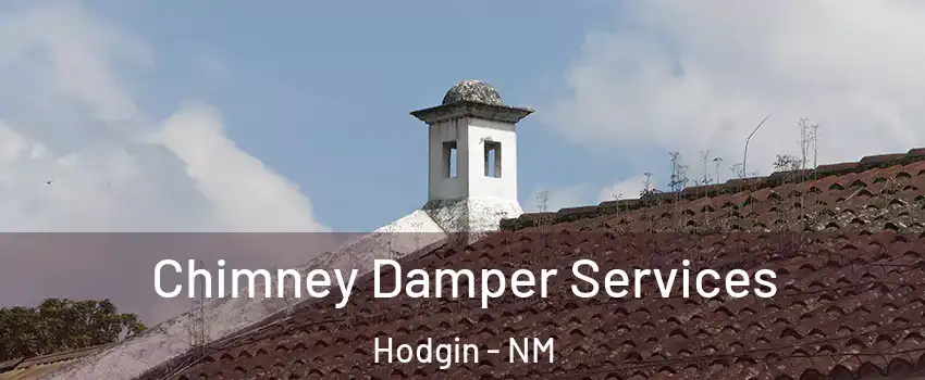 Chimney Damper Services Hodgin - NM