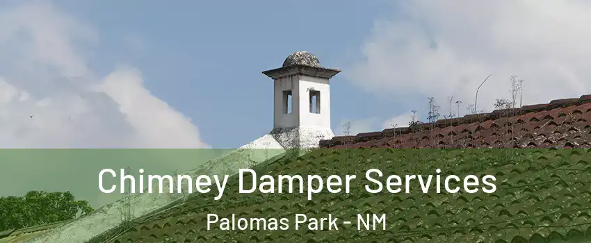 Chimney Damper Services Palomas Park - NM