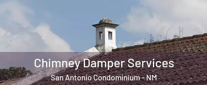 Chimney Damper Services San Antonio Condominium - NM