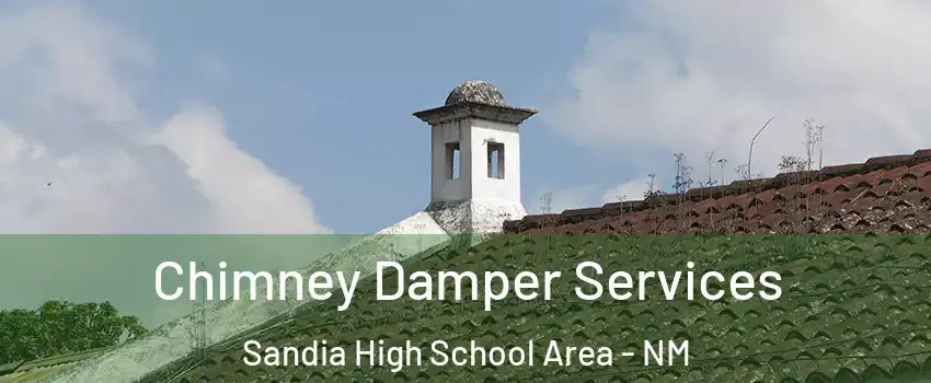 Chimney Damper Services Sandia High School Area - NM