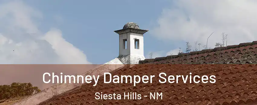 Chimney Damper Services Siesta Hills - NM