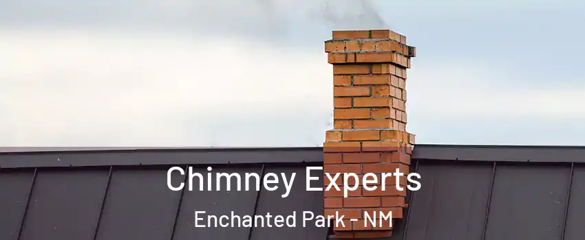 Chimney Experts Enchanted Park - NM