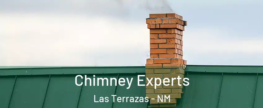 Chimney Experts Las Terrazas - NM