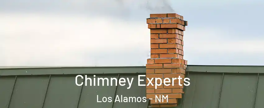 Chimney Experts Los Alamos - NM