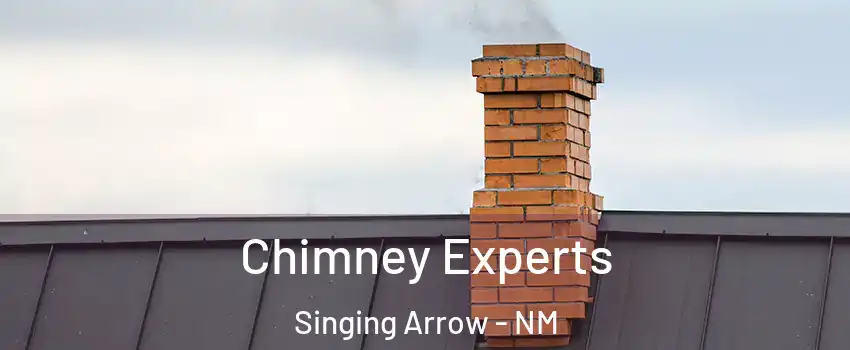 Chimney Experts Singing Arrow - NM