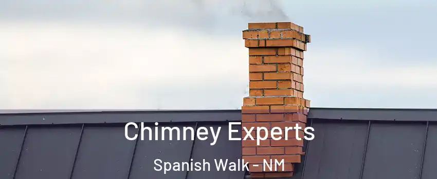 Chimney Experts Spanish Walk - NM