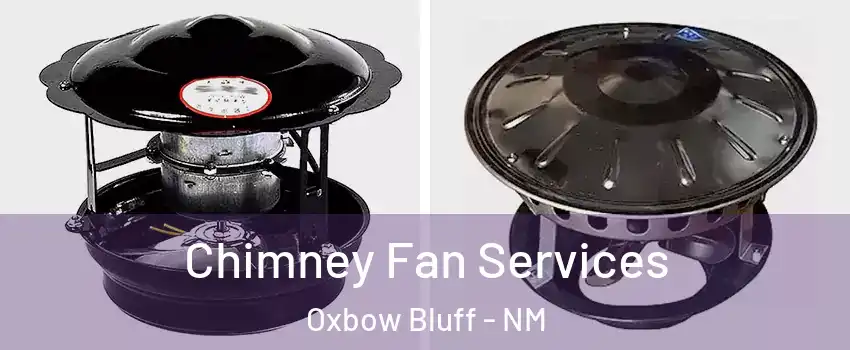 Chimney Fan Services Oxbow Bluff - NM