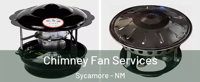 Chimney Fan Services Sycamore - NM