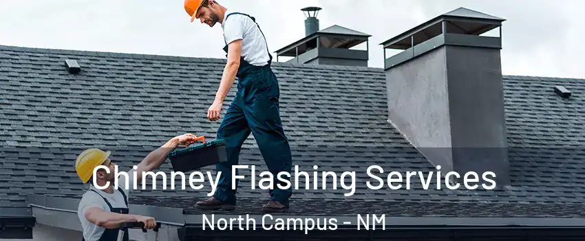 Chimney Flashing Services North Campus - NM