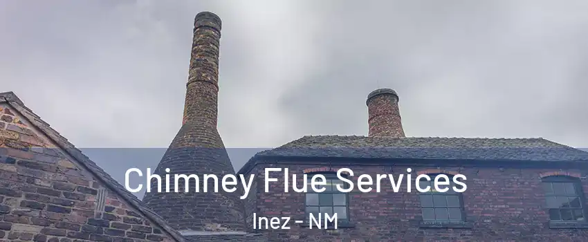 Chimney Flue Services Inez - NM