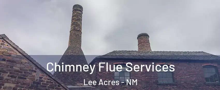 Chimney Flue Services Lee Acres - NM